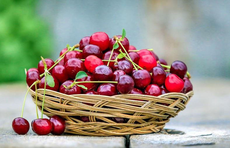 cherries Nutrition Tips For Boosting Your Brain
