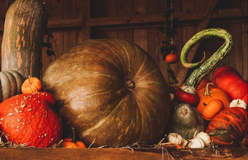 pumpkins Nutrition Tips For Boosting Your Brain