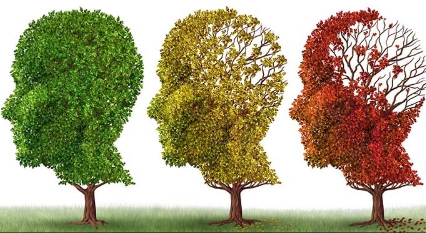 Alzheimer trees