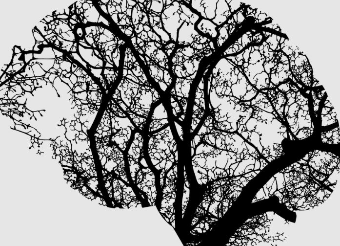 brain tree 