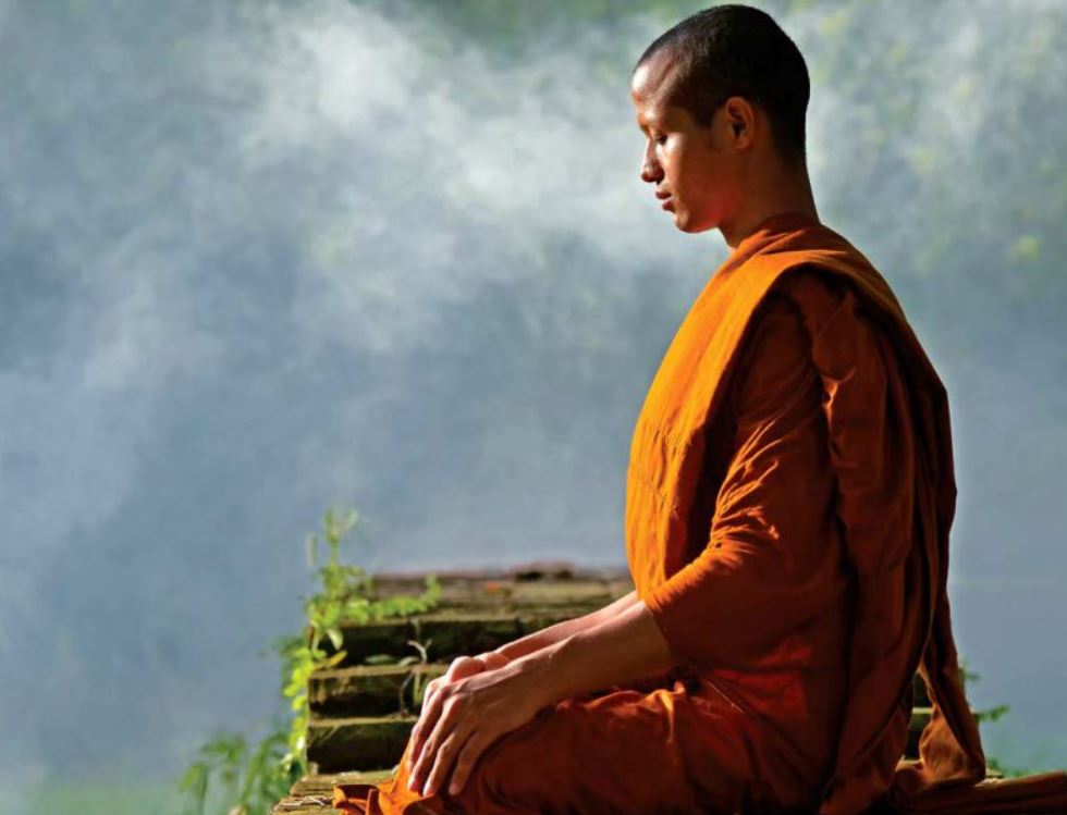 meditate  Intestines and Gut Bacteria